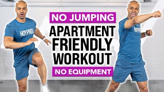 NO NOISE Low Impact FULL BODY Apartment Friendly Small Space Workout No Jumping No Equipment [upl. by Avihs]