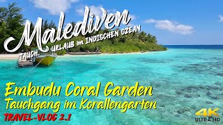 Tauchen auf den MALEDIVEN  Coral Garden quotTauchen im Korallengartenquot 4K 🤿 Embudu Island [upl. by Eener]