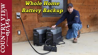 Replacing Our Gas Generator with EcoFlow Delta Pro for Whole Home Power Backup [upl. by Drhacir]