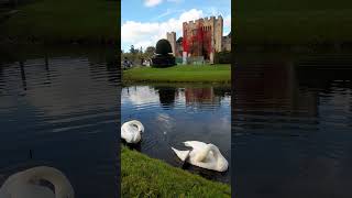 beautiful view at the lake of Hever Castle located at Edenbridge Kent United Kingdom [upl. by Elijah]