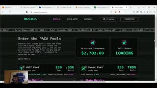 Blue Chip Drip Crypto Plays Paca Finance ampStable Swap Team Wheel Spin [upl. by Nirak623]