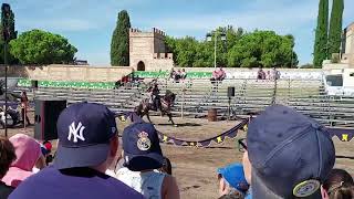 Jousting Tournament Reenactment Alcala de Henares [upl. by Catlin]