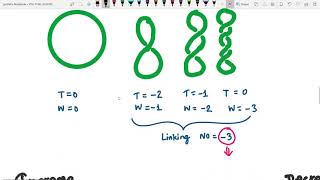 DNA Supercoiling I Positive and negative supercoiling I Linking number I Type of Topoisomerases [upl. by Haddad]