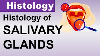 Inderbir Singh Histology Chp14  Histology of SALIVARY GLANDS  Dr Asif Lectures [upl. by Odie]