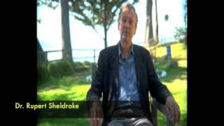 Dr Rupert Sheldrake talks about his collaborations with Dr Chris French [upl. by Ricker]