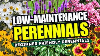 36 Annual biennial and perennial plants [upl. by Oiramd]