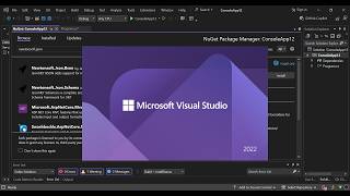 Nuget Package in Visual Studio 2022  Getting Started [upl. by Shields]