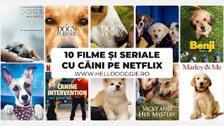 Netflix și recomandările de seriale 😂 amuzant comedie glume [upl. by Rufus]