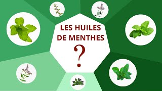 Les huiles essentielles de menthe  Compagnie des Sens  Théophane de la Charie [upl. by Eimak729]