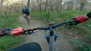 Ewen Maddock Dam MTB Trails  Ferny Forest Loop [upl. by Bucella122]