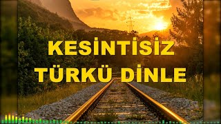 KESİNTİSİZ TÜRKÜ DİNLE  TÜRK HALK MÜZİĞİ türküler [upl. by Emirac]