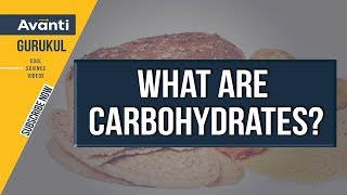 11B09  Biomolecules  Carbohydrates  Monosaccharide  Polysaccharide  Class 11 Biology [upl. by Nahsyar]