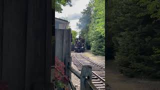 Silver wood theme park silverwood steamtrain [upl. by Tnerb925]