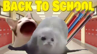 Bouncing Seals Back To School [upl. by Abehsile]