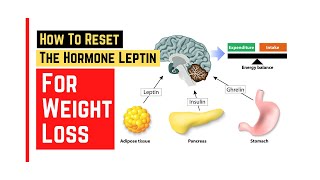 How to reset leptin hormone for weight loss  Veronica Yoo nutritionist FMCHC CFS [upl. by Truk]