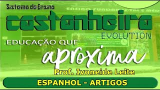 Revisão de Espanhol  Artigos Professora Ivaneide Leite [upl. by Merralee]