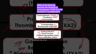 Describe the functions of cyclooxygenase1 COX1 in the formation of prostaglandins [upl. by Ggerc598]