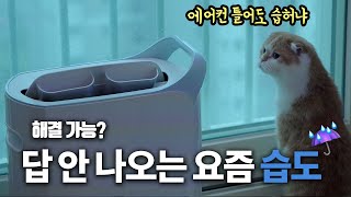 짜증나는 습도 제습기 있다면 쾌적해질까 5대 써보고 실험 비교 추천 [upl. by Eimorej]