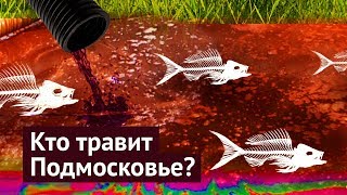 Экологическая катастрофа в Подмосковье [upl. by Showker784]