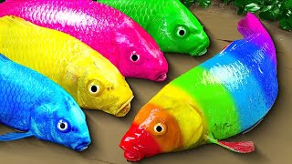 Cartoon Stop Motion ASMR  Believe This Fishing Big Red fish Carp eel videos Mudfish Cooking [upl. by Ynaffet]