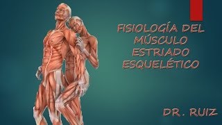 Fisiología del Musculo Estriado Esqueletico [upl. by Donnell]