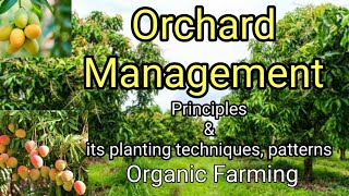 Orchard ManagementHorticultureఆర్చర్డ్ నిర్వహణ [upl. by Orozco309]