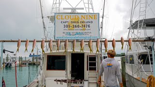 Huge Yellowtail Snapper  January Fishing Report [upl. by Alletnahs]