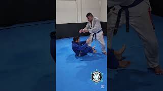 Armlock Surpresa bjj [upl. by Elrak866]