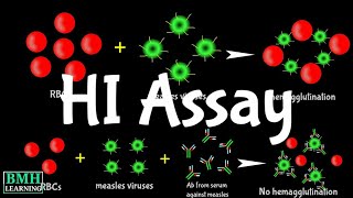 Hemaglutination Inhibition Assay  HI Assay  HAI Assay [upl. by Akamaozu]