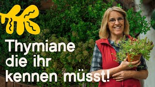 ThymianVielfalt 6 Arten Sorten die deinen Garten Küche und Gesundheit bereichern [upl. by Raknahs]