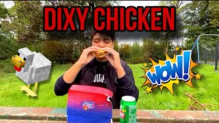 The felaztrials review Dixy Chicken Burger extra spicy🥵 [upl. by Nannaihr]