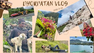 Dhorpatan ढाेरपाटन Nepal  Hunting reserve  Full itinerary 2081 [upl. by Aneetak]