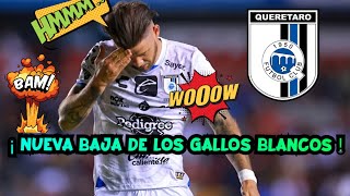 ¡ NUEVA BAJA DE LOS GALLOS BLANCOS DE QUERÉTARO  ¿ SE VA MIGUEL BARBIERI DEL QUERÉTARO 🤯 [upl. by Skiba]