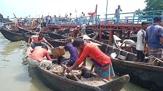 Coxs Bazar Fishing Bazar Guide The Best Places To Catch Big Fish [upl. by Eisnil476]