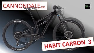 CANNONDALE HABIT CARBON 3 2019 [upl. by Nylirehc]