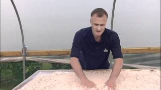 Propagation How to create a misting propagation bench part 1 [upl. by Notsruht]