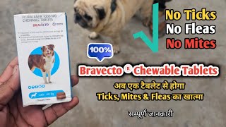 Bravecto For Dogs  अब एक टेबलेट से Ticks Fleas Mites का खात्मा  Bravecto powerful tablet [upl. by Clayborn401]