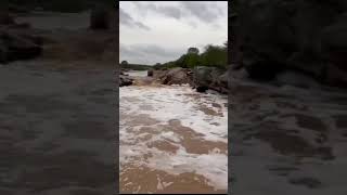 Rio Taperoá em Cabaceiras registra cheia [upl. by Namwen926]