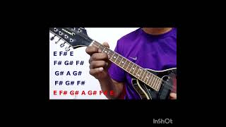 MANDOLIN FINGER EXERCISE mandolincover mandolinlesson mandolin mandolintutorial mandolintuning [upl. by Rannug170]