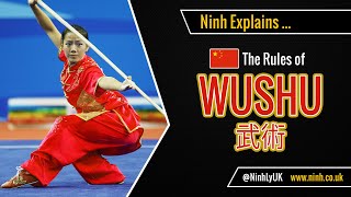 The Rules of Wushu Chinese Kung Fu  EXPLAINED [upl. by Jamila6]