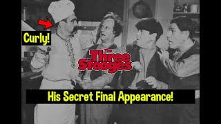 Curlys Final SECRET Appearance On the Three Stooges THAT You ABSOLUTELY DID NOT See [upl. by Grubb]