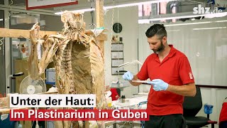 Unter der Haut Im Plastinarium in Guben werden Leichen für die KÖRPERWELTEN präpariert [upl. by Iggem]