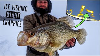 Ice Fishing GIANT Crappies in Shallow Water  TIPS amp TECHNIQUES [upl. by Aham972]