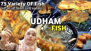 Udham Fish Point  75 Fishes Variety in a One Restaurant 😳 [upl. by Antipas621]