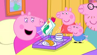 Peppa Pig in Hindi  Mammee Pig Ka Barthade  हिंदी Kahaniya  Hindi Cartoons for Kids [upl. by Calloway]