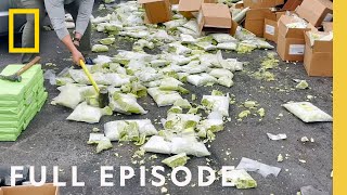 Uncovering Cocaine Hidden in Avocados Full Episode  To Catch a Smuggler [upl. by Brendan]