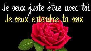 ❣️POUR TOI ❤️ Je taime plus que tout mon amour 💕💕 Mon Message damour❤️ [upl. by Rheinlander]