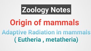 Origin of mammals  Adaptive radiation in eutheria metatheria notes [upl. by Okier]