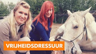 Beginnen met vrijheidsdressuur  PaardenpraatTV [upl. by Vyky158]