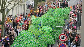 Karnevalszug Viersen Tulpensonntag 2023 Burgstraße Ausschnitte [upl. by Ursulette187]